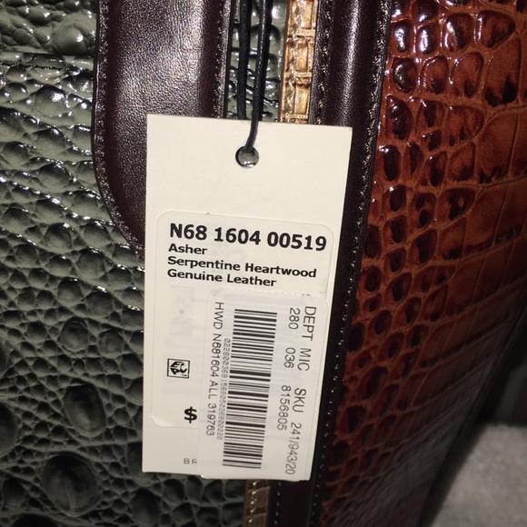 Brahmin - Picture 3 of 6